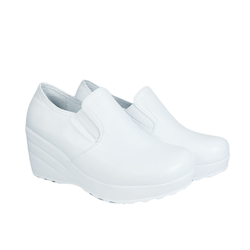 Zapato 1212