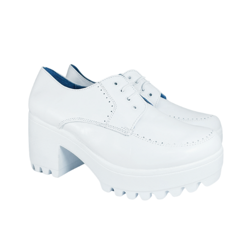 Zapato 1001