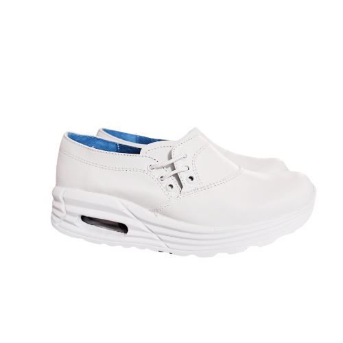 Zapato 210