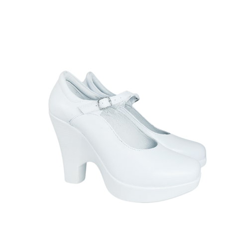 Zapato 4001